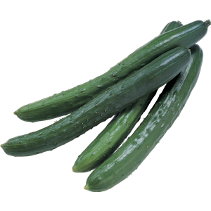 Cucumber PNG-12626